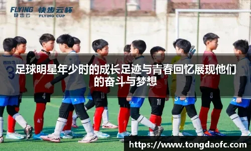 解析底特律老虎队如何利用农场系统构建具备机动性的防守体系